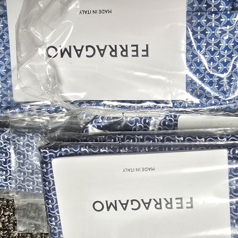 Salvatore Ferragamo Blue and White Patterned Tie PAIR OF 2 (2)